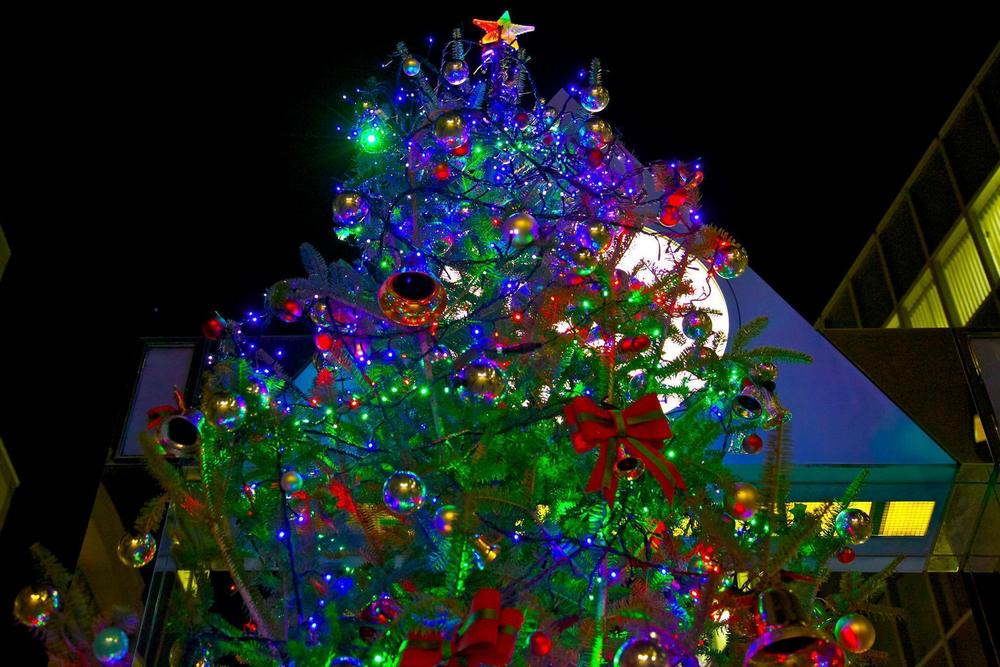 渋谷・表参道のイルミネーションとクリスマスツリーの写真9