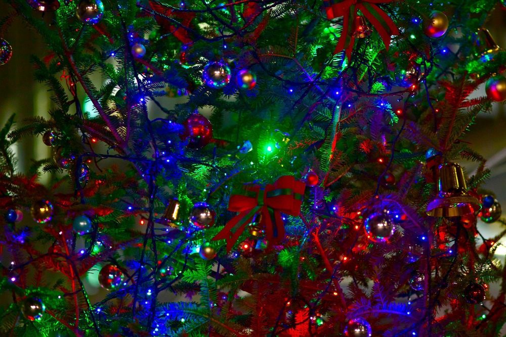 渋谷・表参道のイルミネーションとクリスマスツリーの写真10