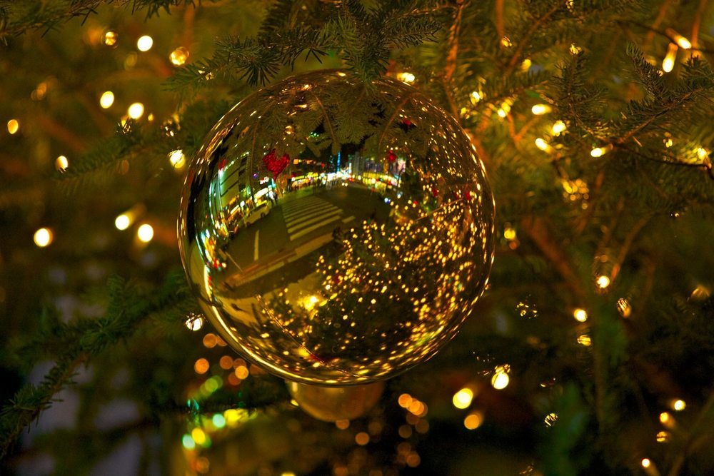 渋谷・表参道のイルミネーションとクリスマスツリーの写真13