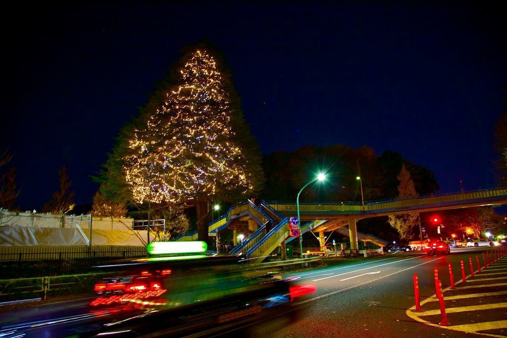 渋谷・表参道のイルミネーションとクリスマスツリーの写真14