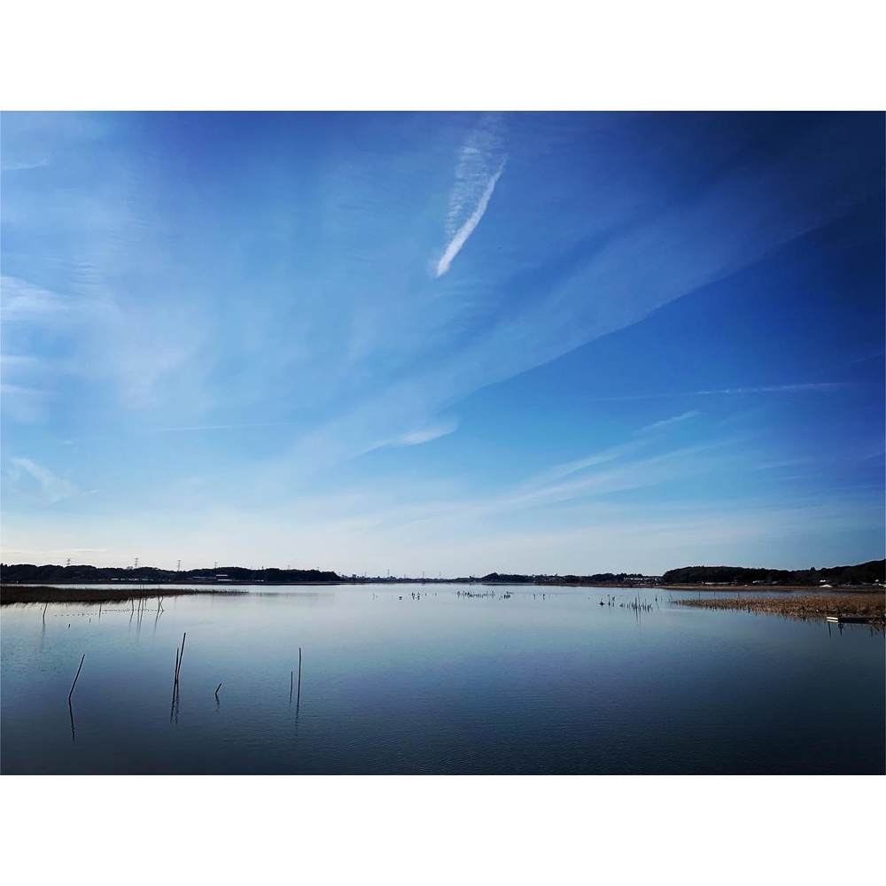 矢切富士見公園～湖北駅までの写真3