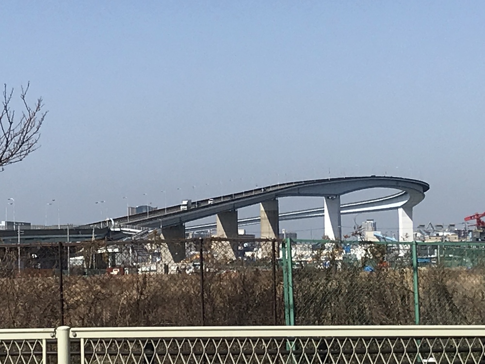 西九条駅～渡船ラン22kmの写真4