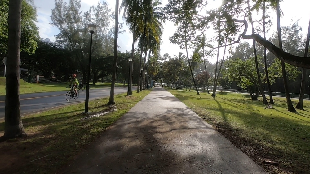 シンガポール外周Part７の写真10