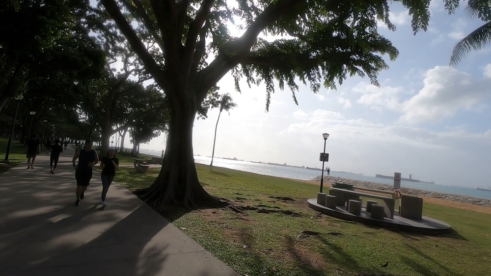 シンガポール外周Part７の写真11