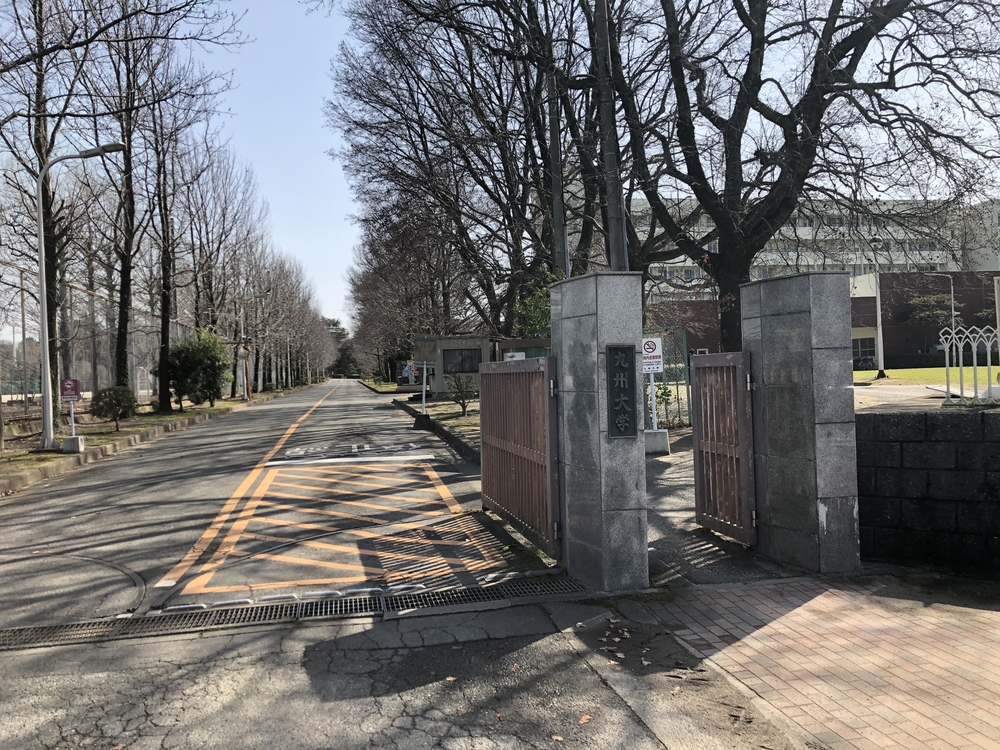 勝手にRuntripグルメvol.1 狐狸庵のカツ丼@福岡・大野城の写真6