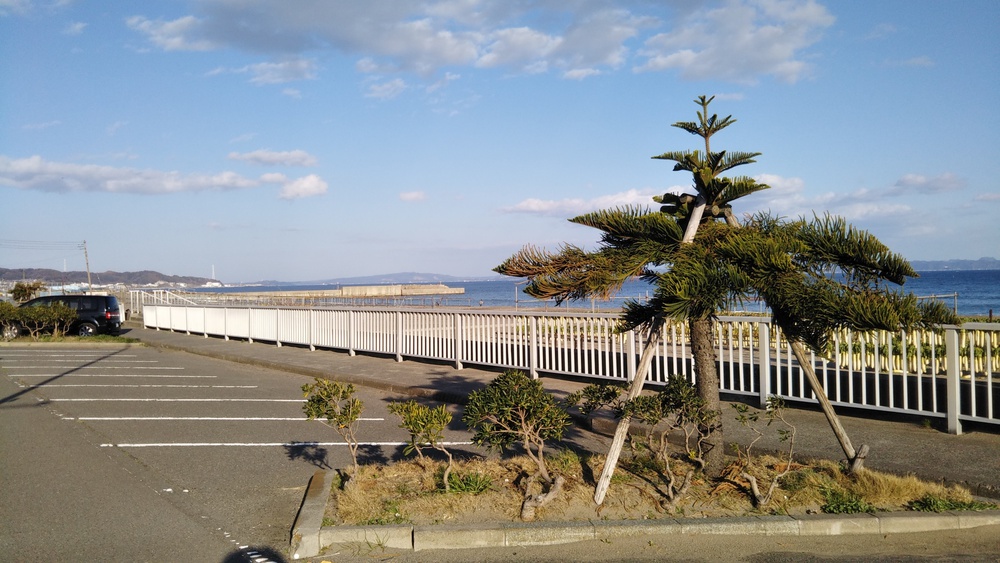 東京湾を眺めながらのシーサイドコースの写真3