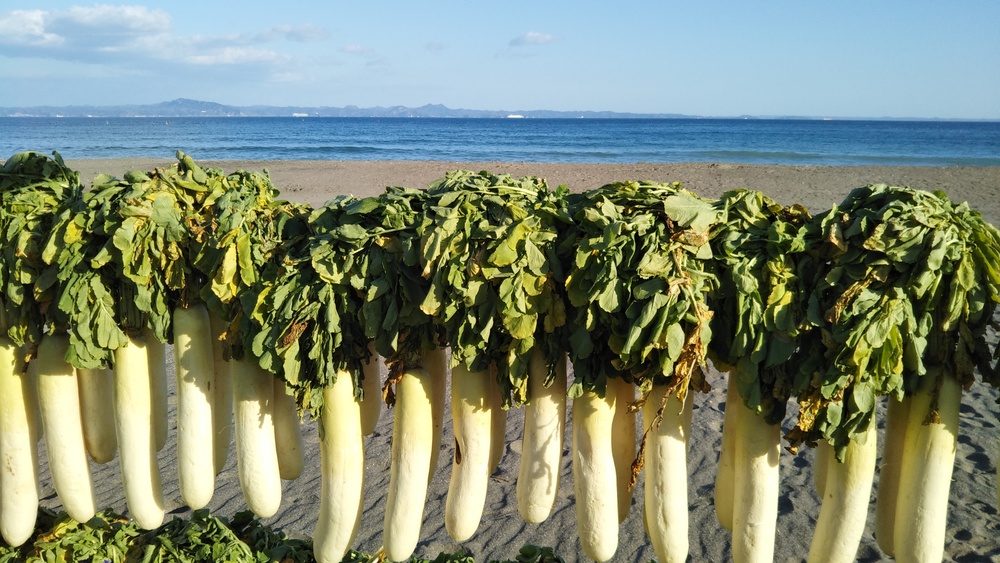 東京湾を眺めながらのシーサイドコースの写真4