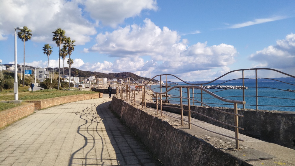 東京湾を眺めながらのシーサイドコースの写真6