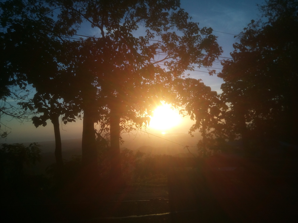 セブトップス往復の写真3