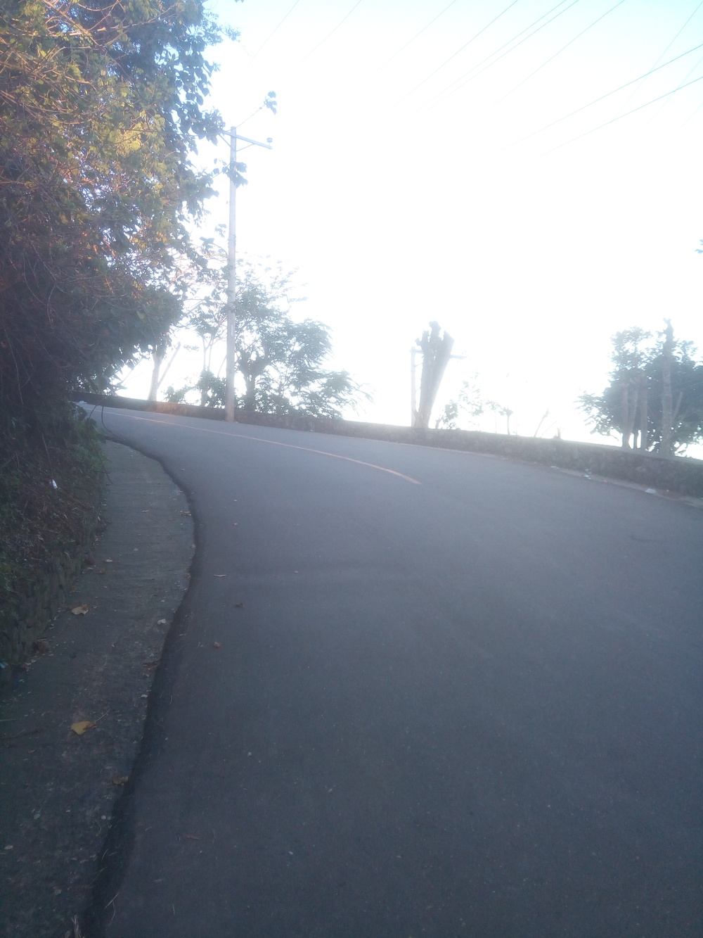 セブトップス往復の写真4