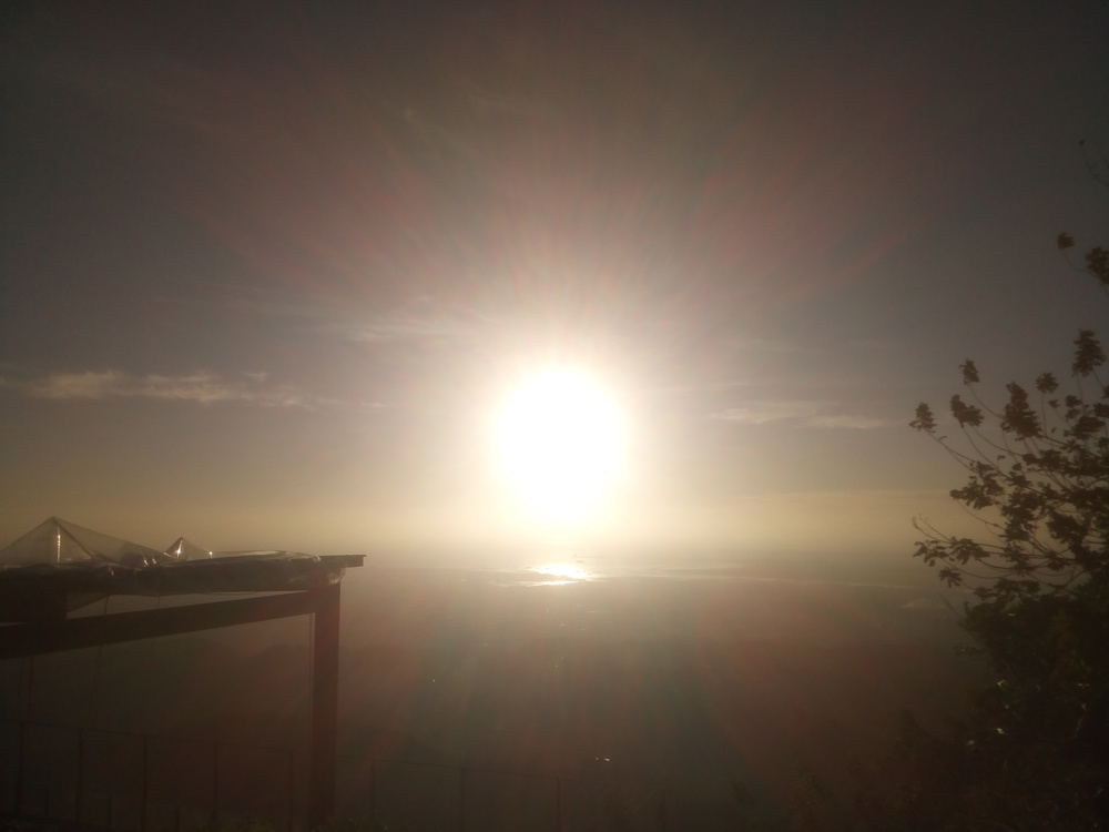 セブトップス往復の写真5