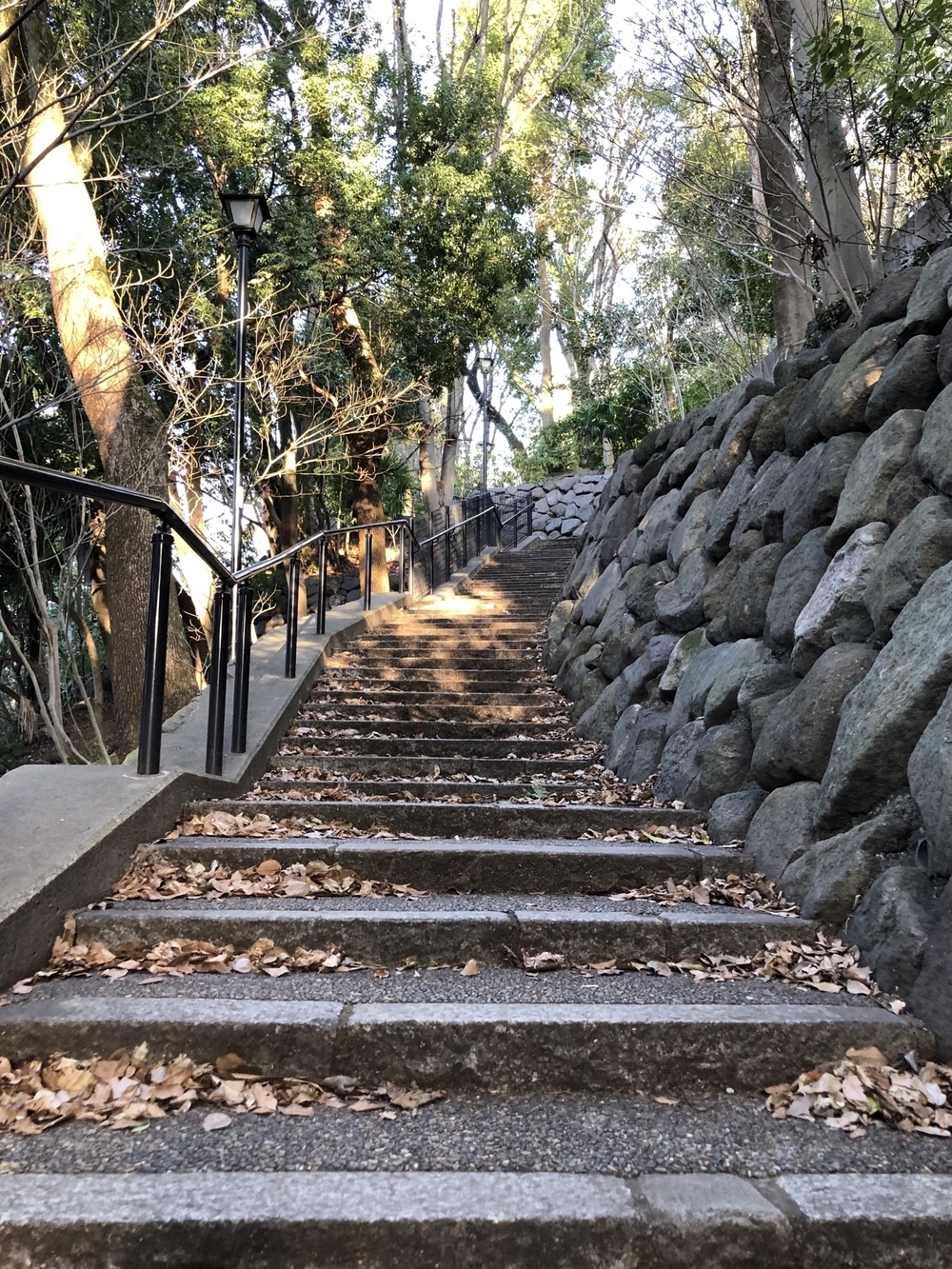 坂好きに捧ぐ坂三昧コースの写真3