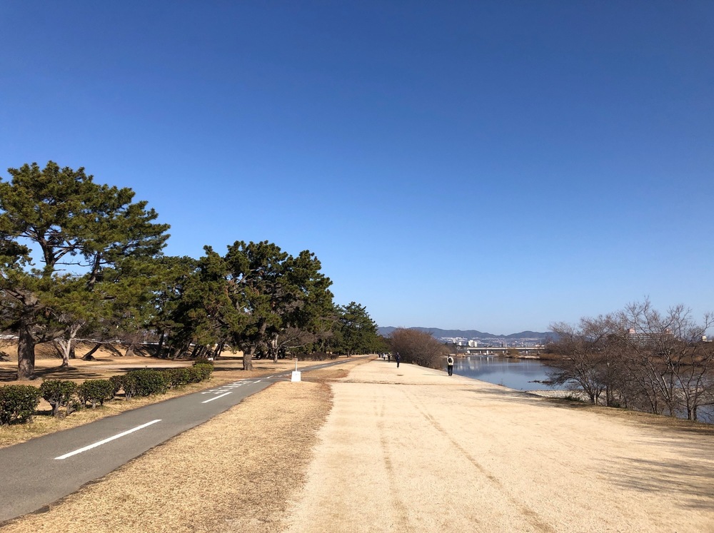 西宮市内を観光できるフルマラソンコース（トレラン有）の写真6