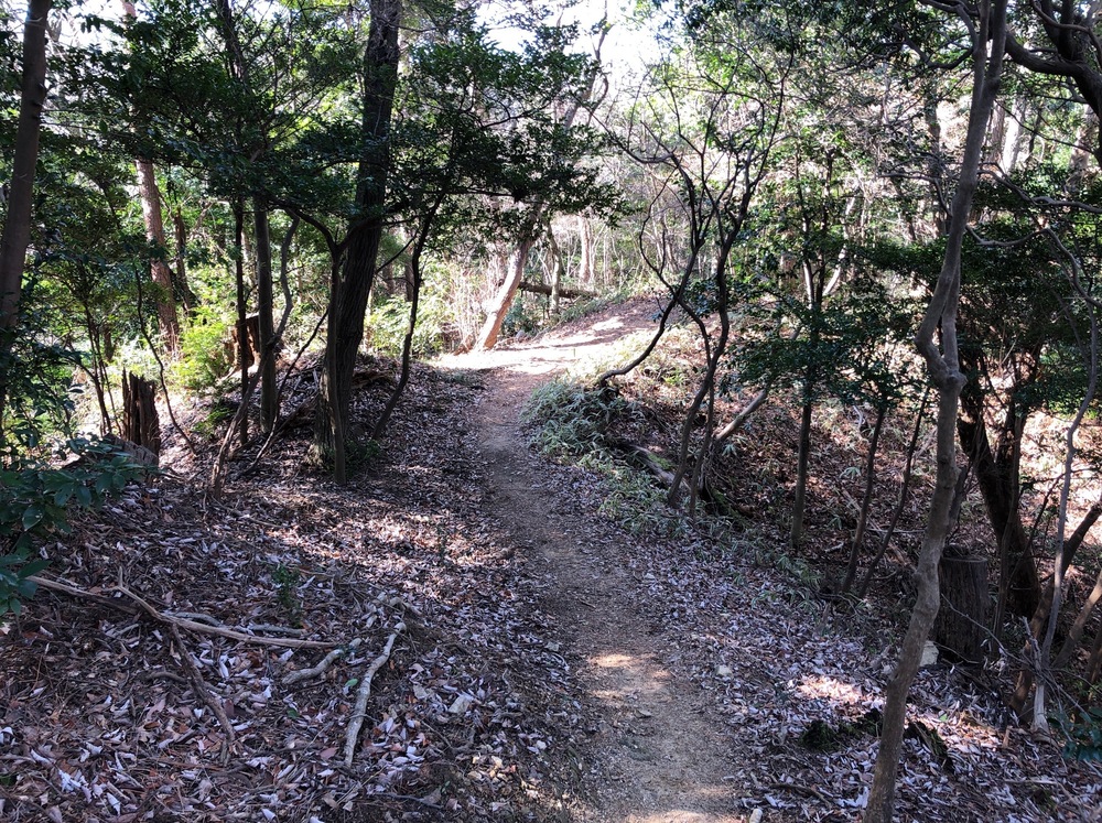 西宮市内を観光できるフルマラソンコース（トレラン有）の写真16