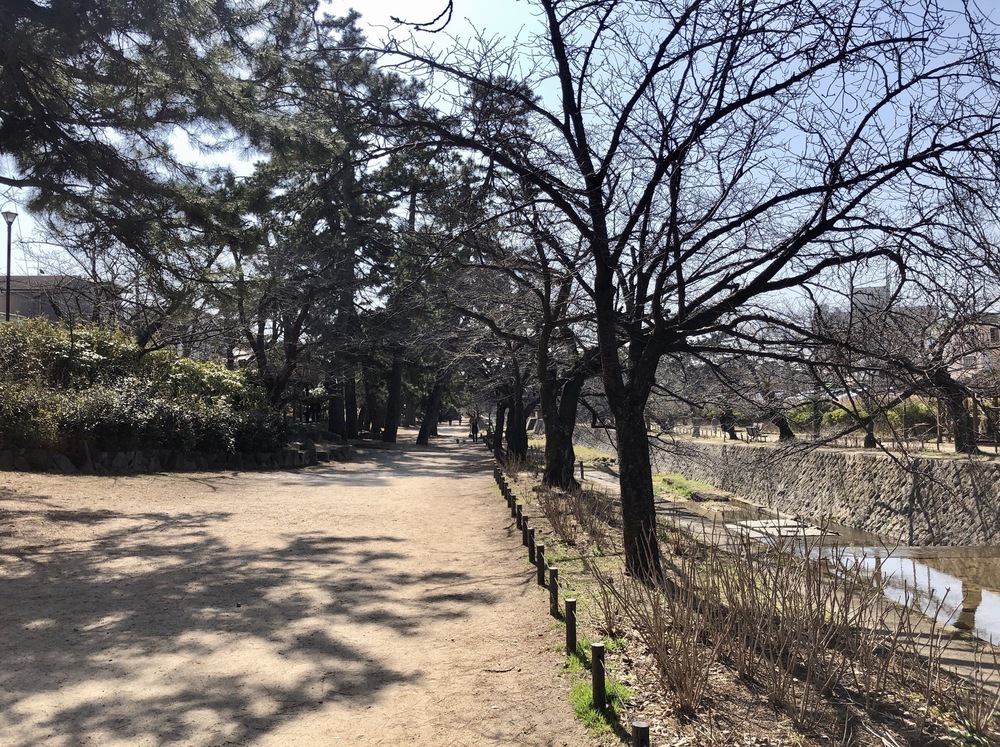 西宮市内を観光できるフルマラソンコース（トレラン有）の写真19