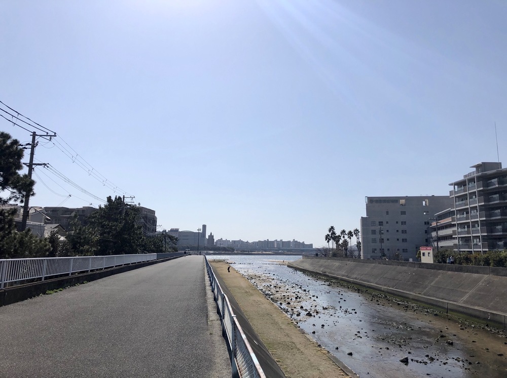 西宮市内を観光できるフルマラソンコース（トレラン有）の写真20