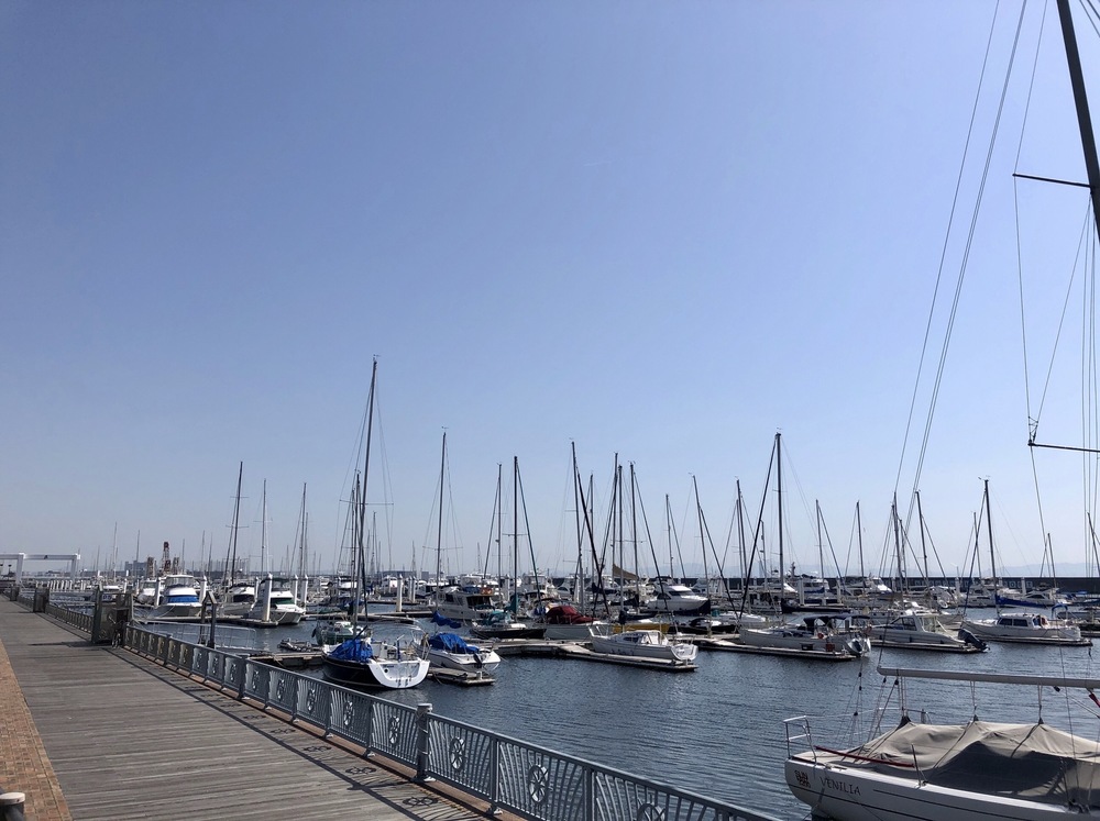 西宮市内を観光できるフルマラソンコース（トレラン有）の写真26