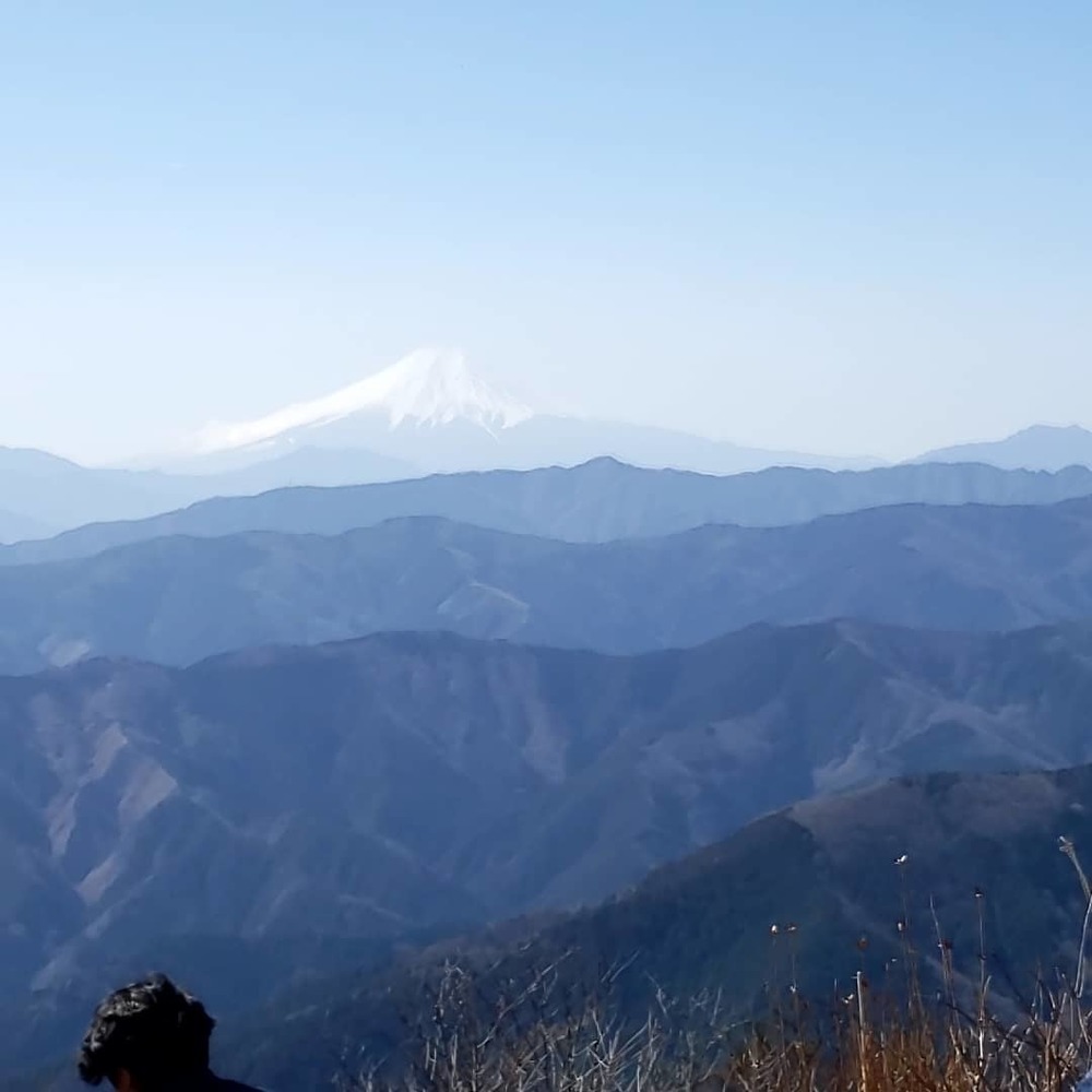 後半の金比羅尾根がお楽しみのトレラン23㎞ですの写真3