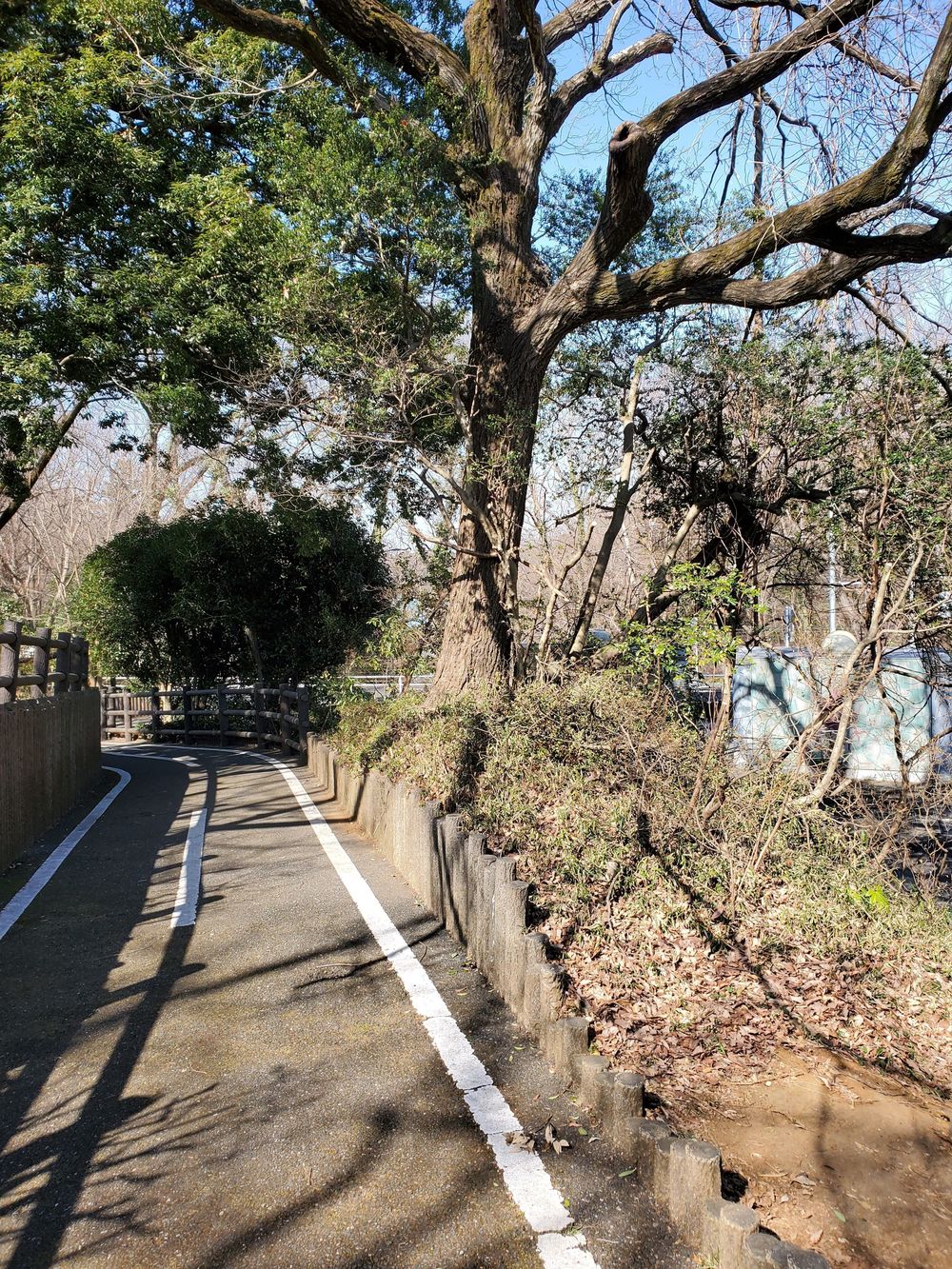 狭山湖・多摩湖RUN🏃‍♂️🏃‍♀️💨の写真3