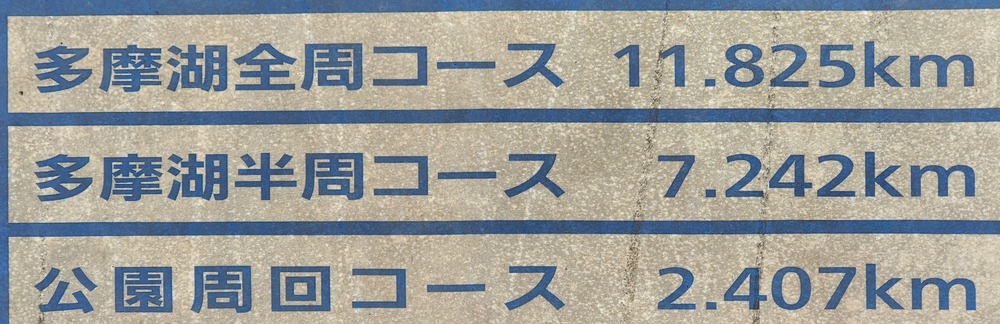 狭山湖・多摩湖RUN🏃‍♂️🏃‍♀️💨の写真5