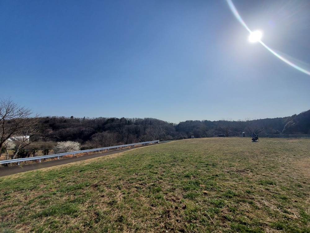 狭山湖・多摩湖RUN🏃‍♂️🏃‍♀️💨の写真11