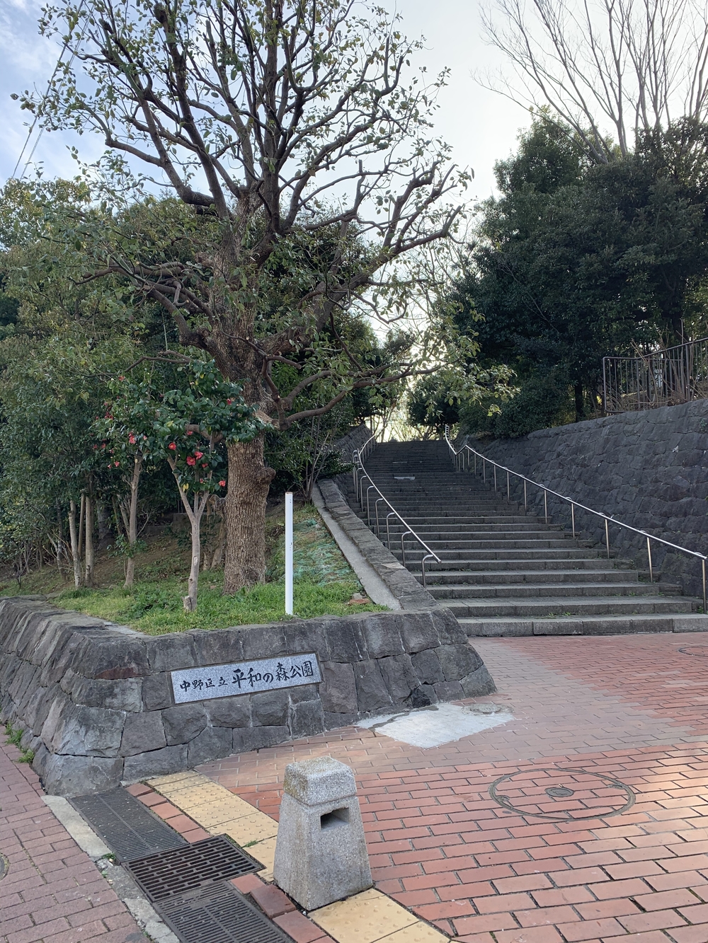 妙正寺川リバーサイドランニング🎶の写真3