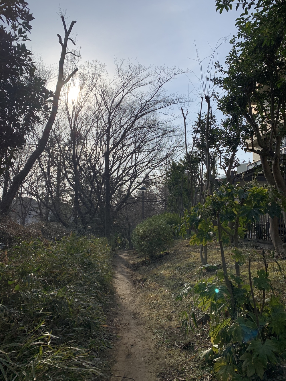 妙正寺川リバーサイドランニング🎶の写真4