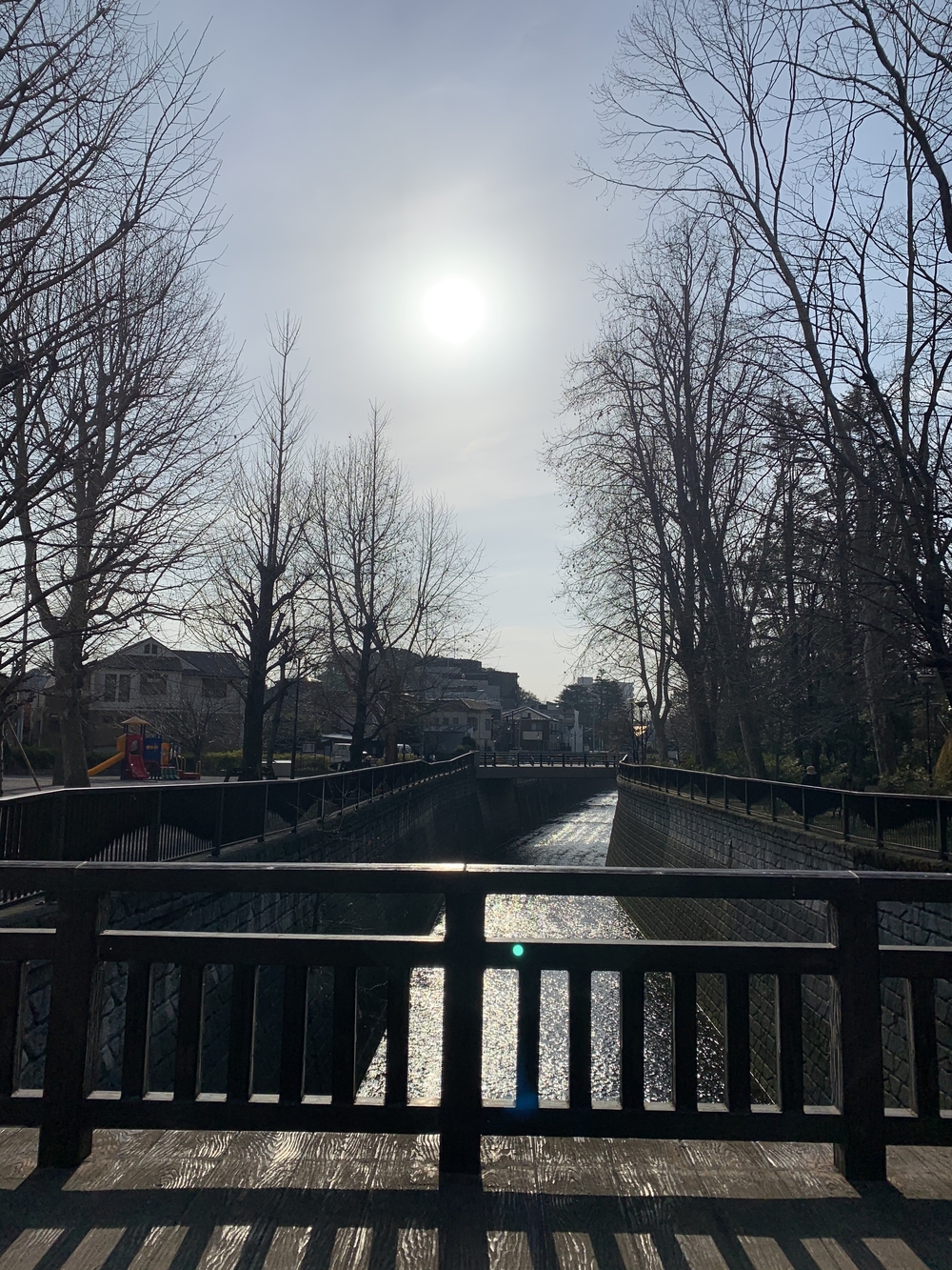 妙正寺川リバーサイドランニング🎶の写真6