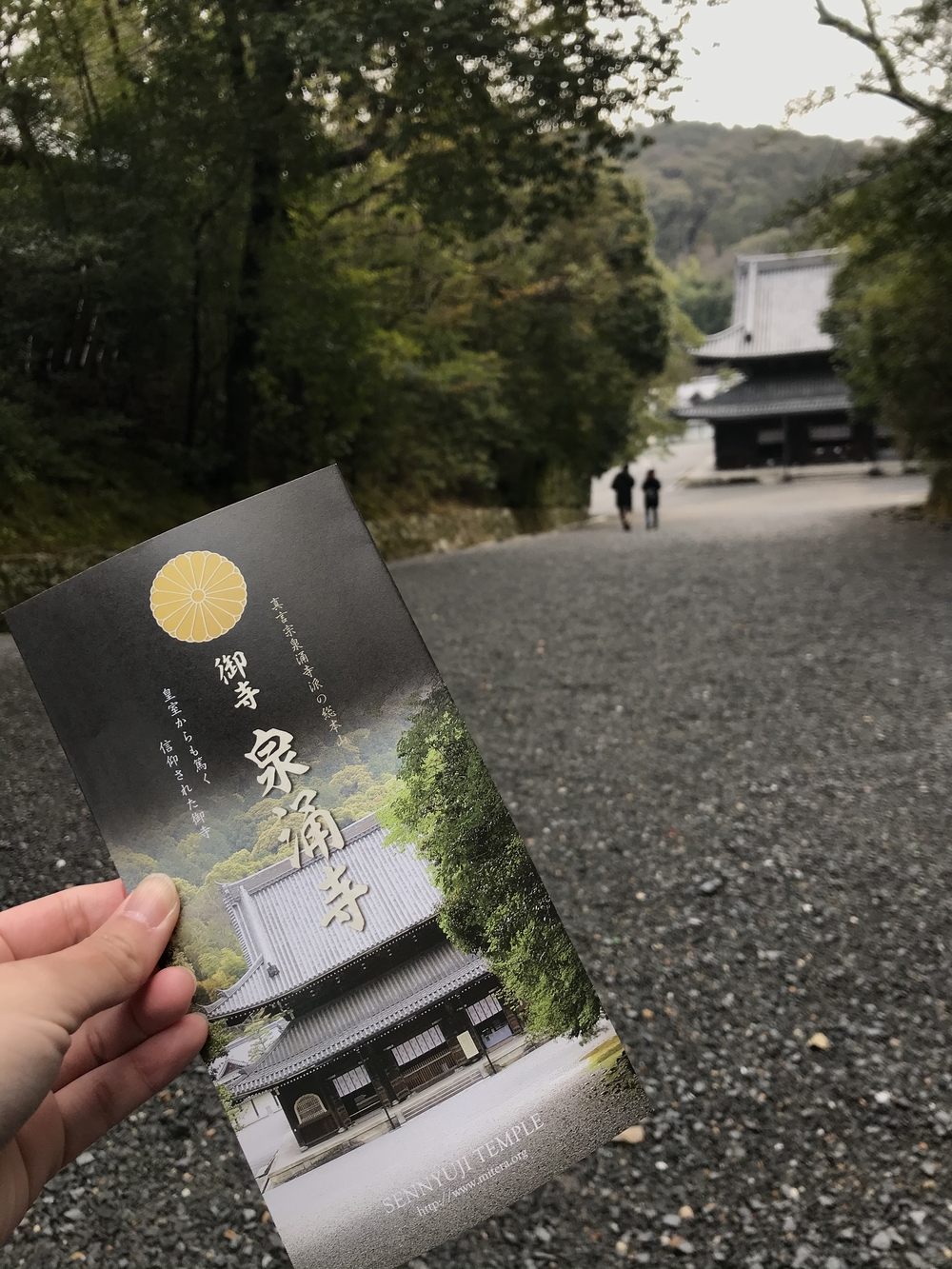 京都観光ラン①たっぷり周ろう！の写真3