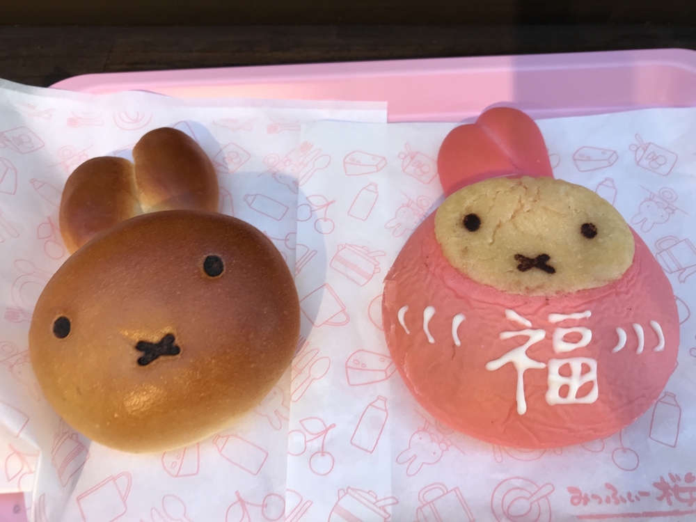 京都観光ラン②長い距離走ってみようの写真4