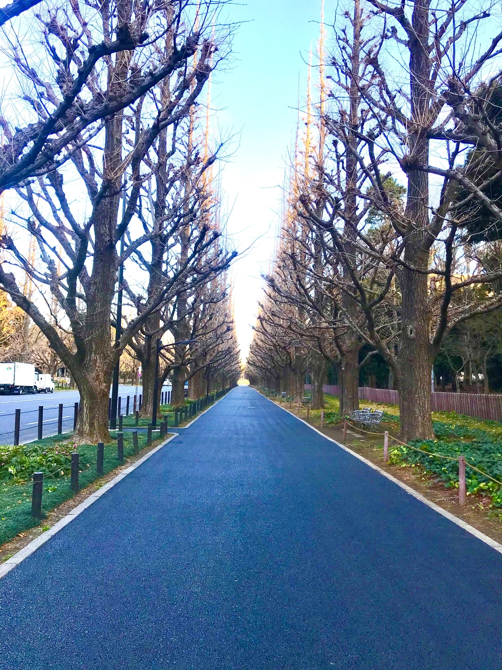 赤坂→神宮外苑→四谷→霞ヶ関12kmコースの写真3