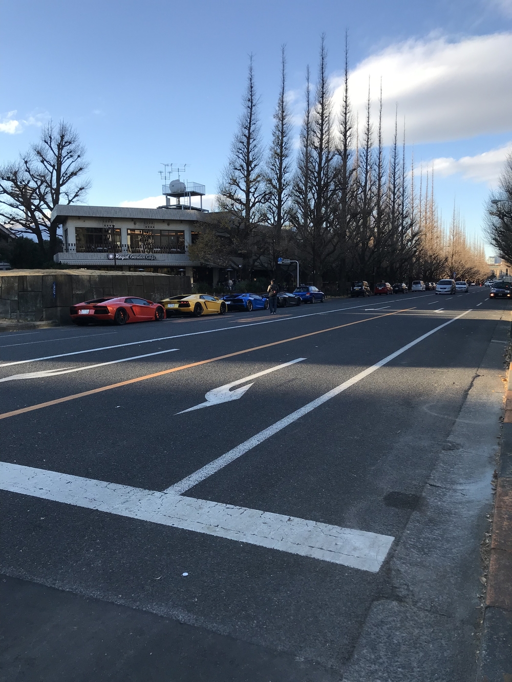 赤坂→神宮外苑→四谷→霞ヶ関12kmコースの写真4