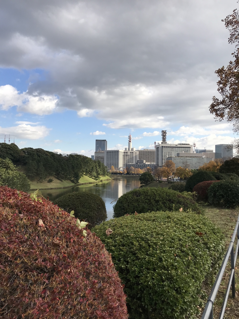 赤坂→神宮外苑→四谷→霞ヶ関12kmコースの写真5