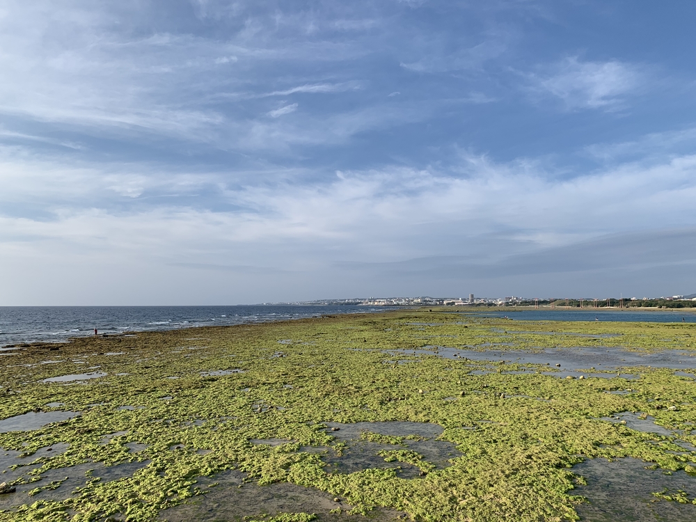 アメリカンビレッジからの海沿いラン約8キロの写真3