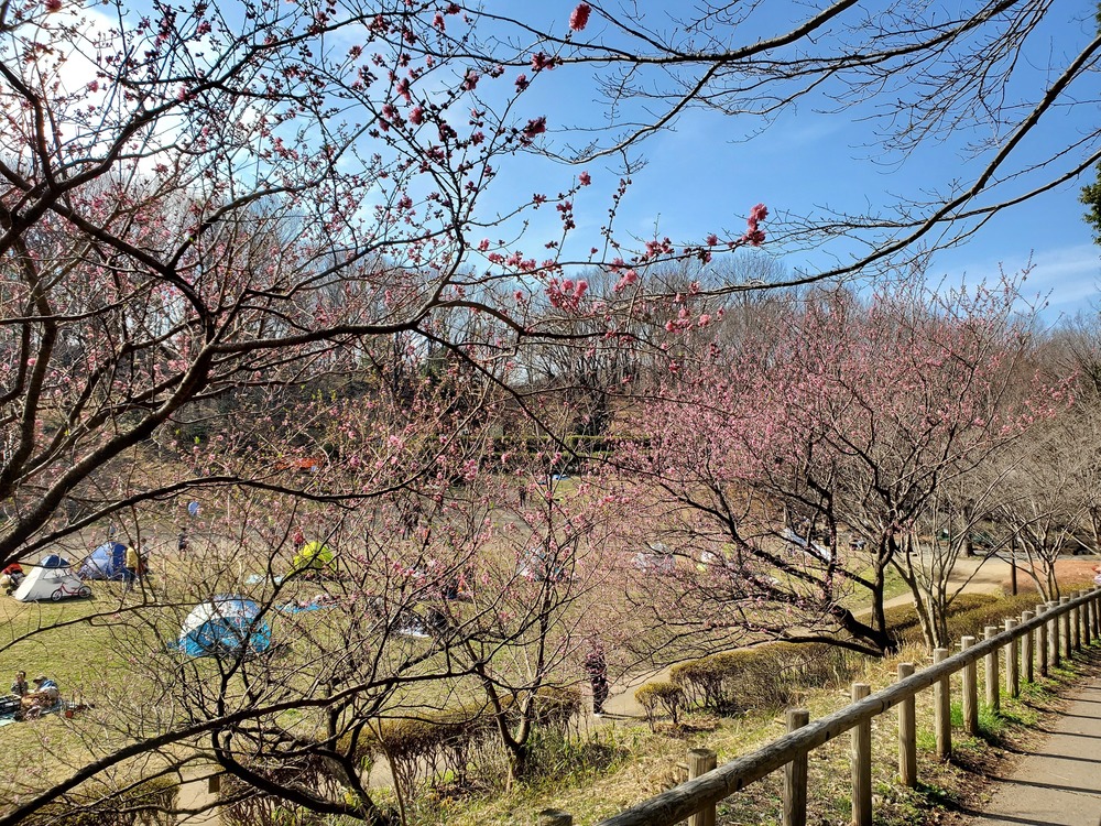 鶴見川RUN🏃‍♂️🏃‍♀️💨の写真3