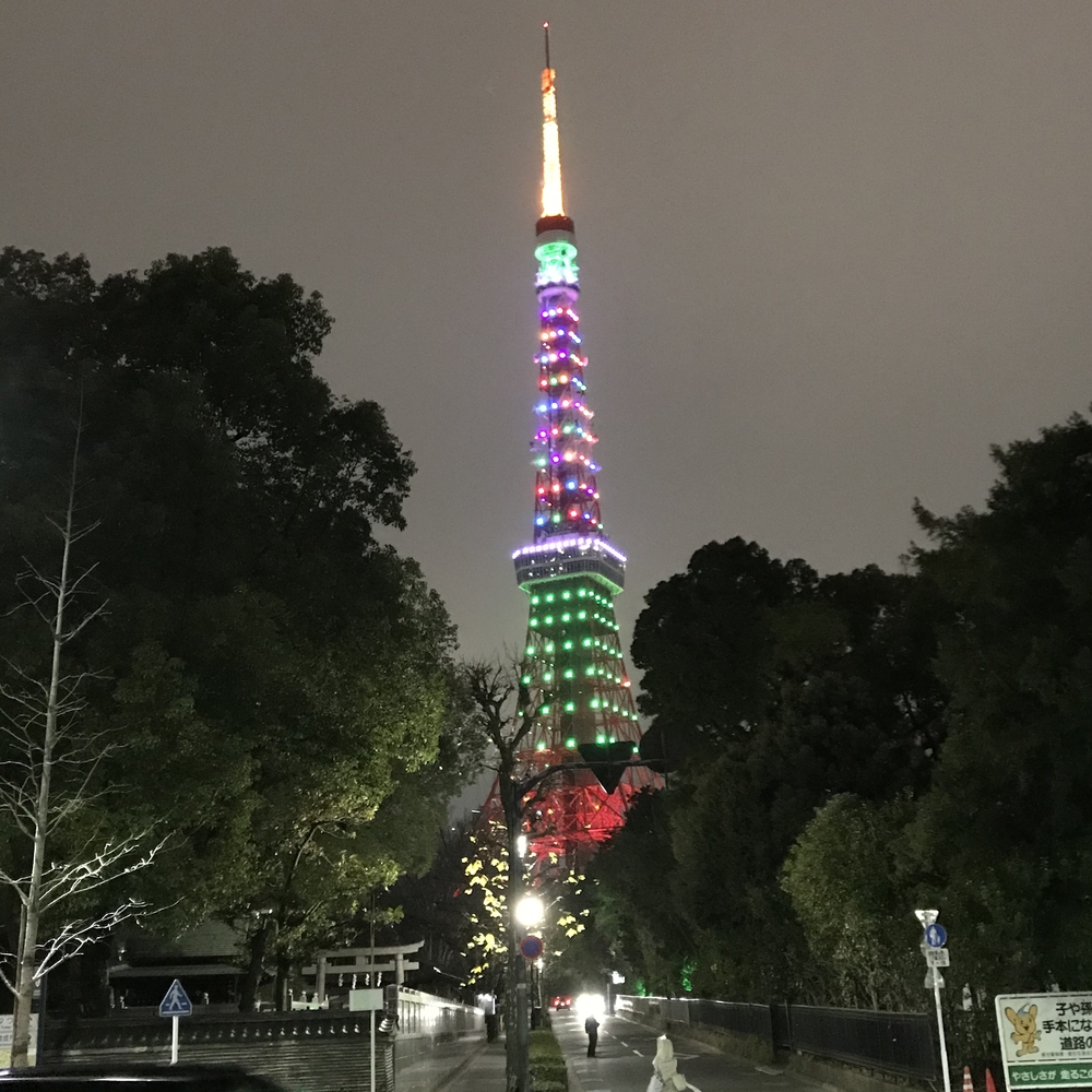 タワーもツリーもどちらも素敵の写真3