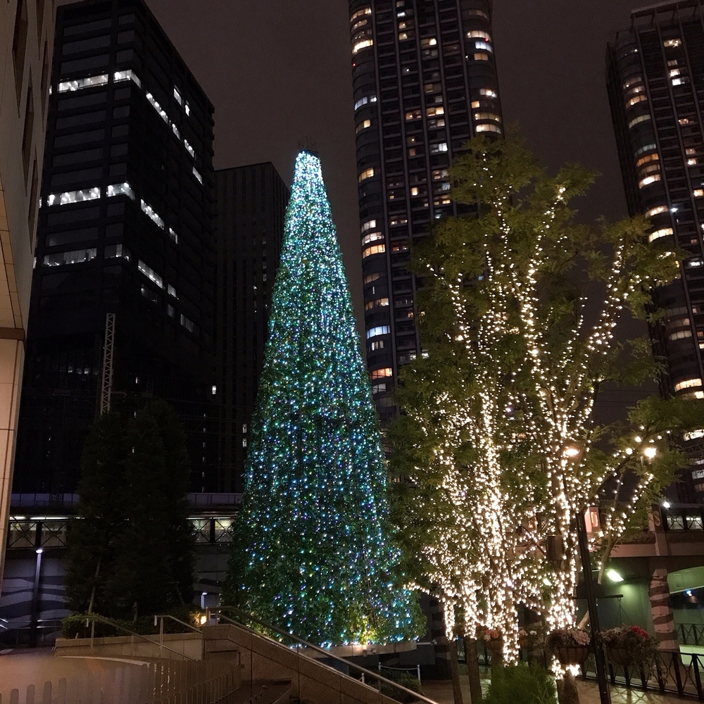 タワーもツリーもどちらも素敵の写真6