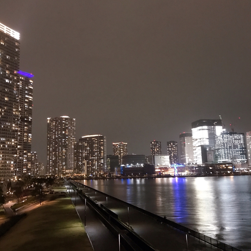 タワーもツリーもどちらも素敵の写真10