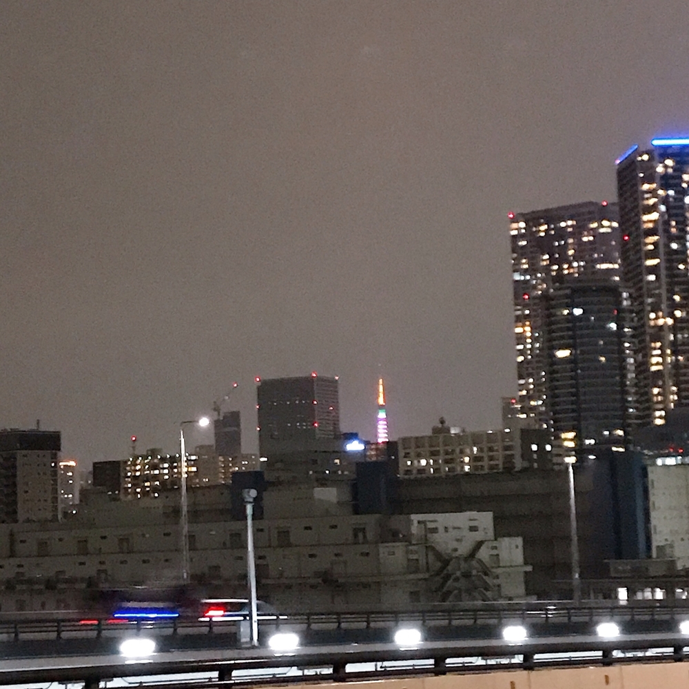 タワーもツリーもどちらも素敵の写真11