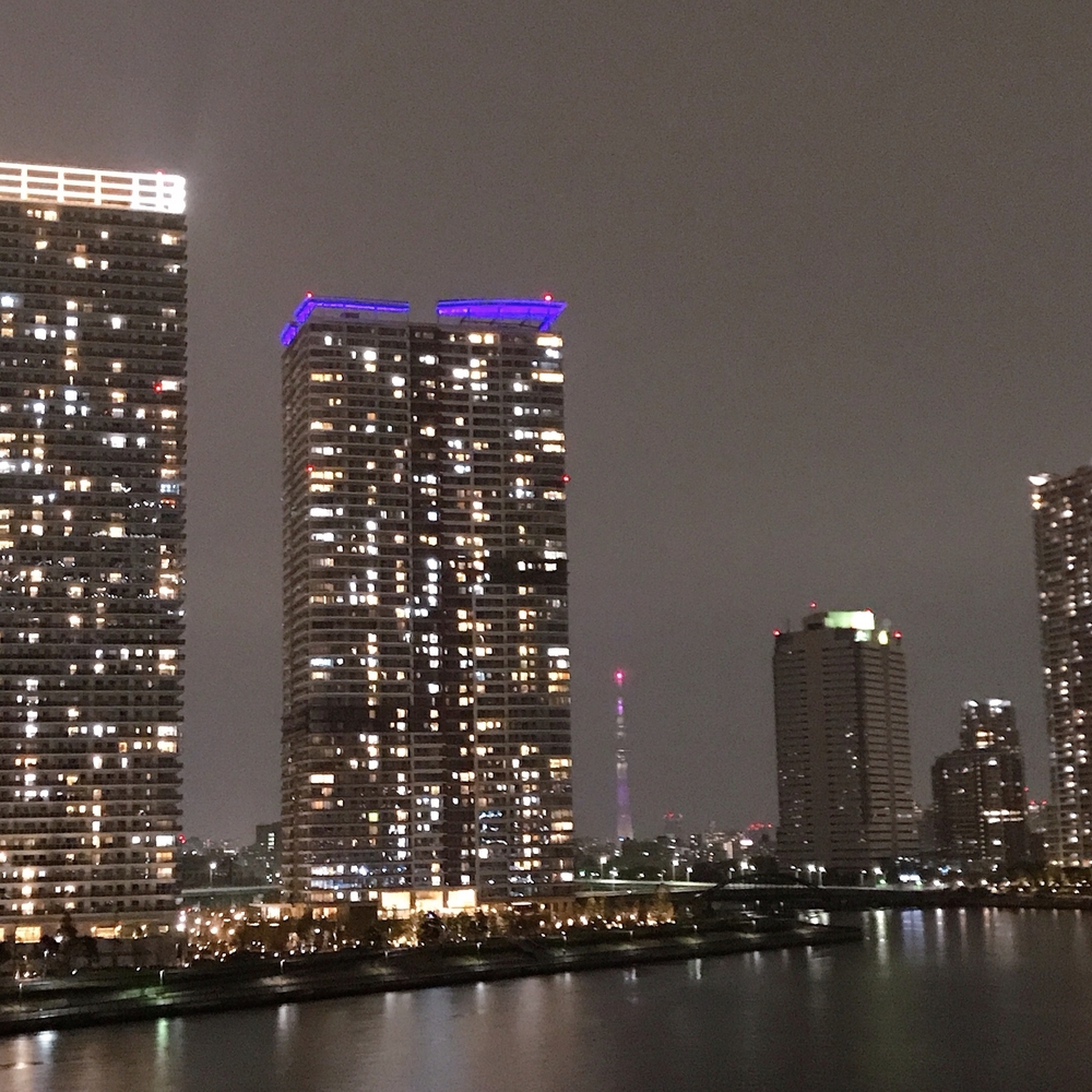 タワーもツリーもどちらも素敵の写真12