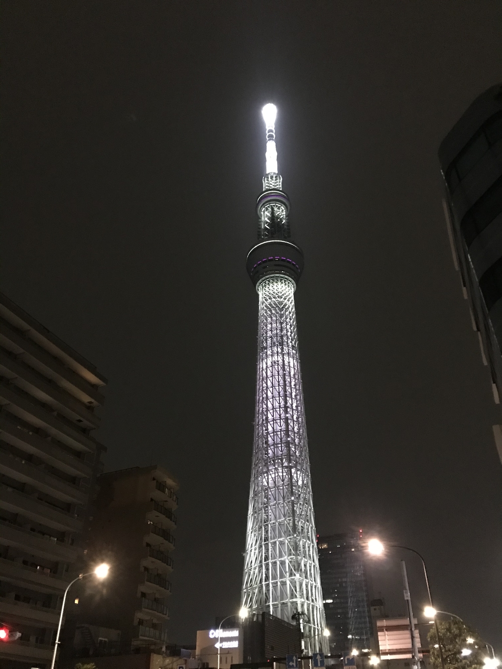 タワーもツリーもどちらも素敵の写真14