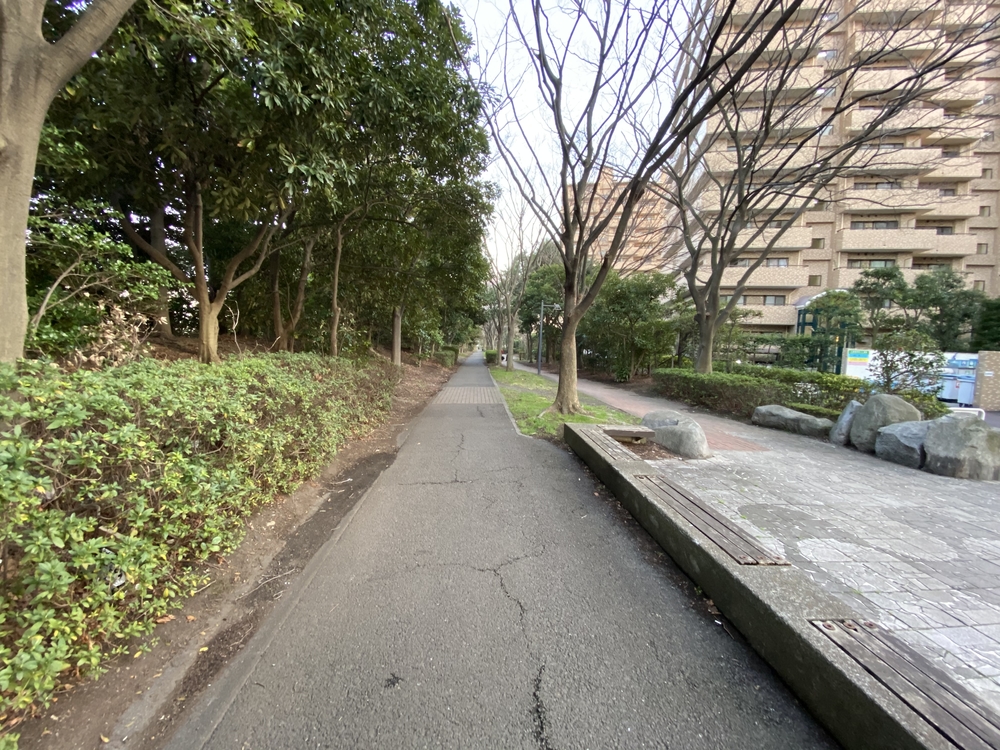 本牧空中庭園・緑道コースの写真4