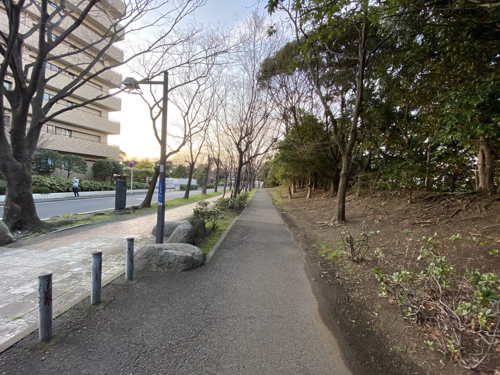 本牧空中庭園・緑道コースの写真5
