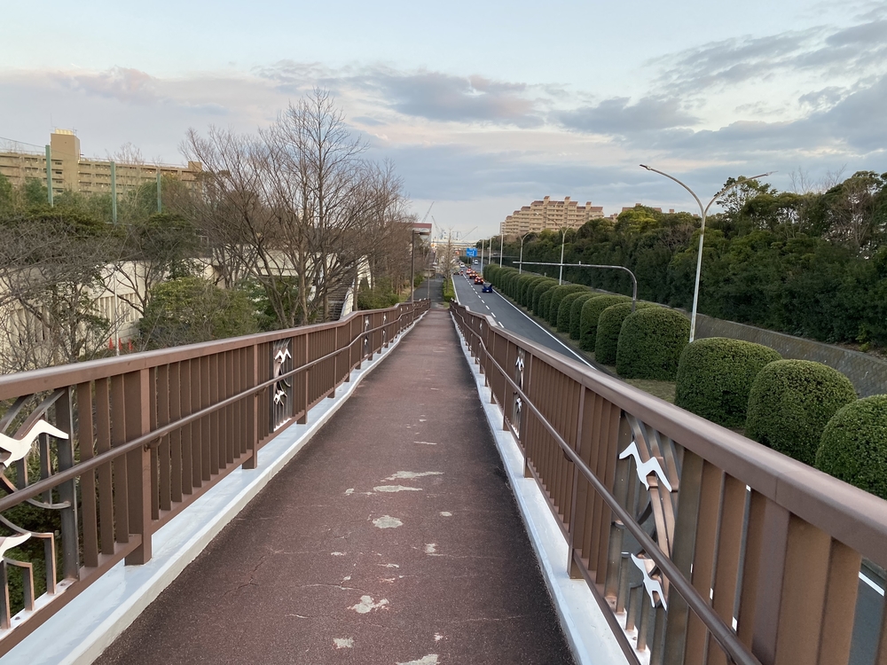 本牧空中庭園・緑道コースの写真6