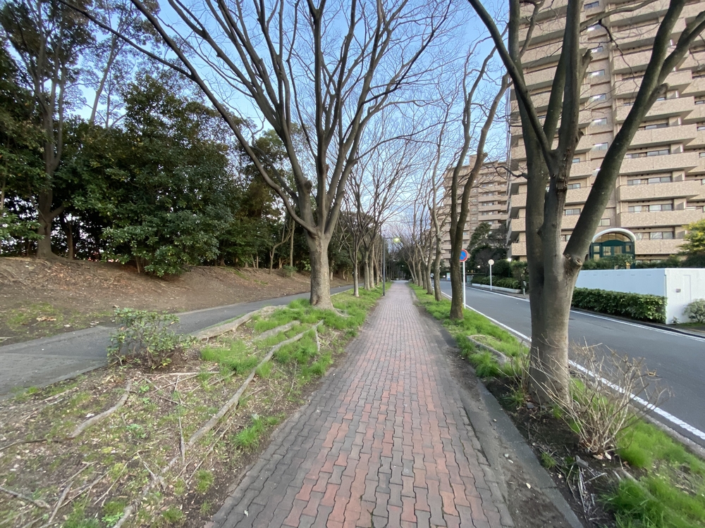 本牧空中庭園・緑道コースの写真8