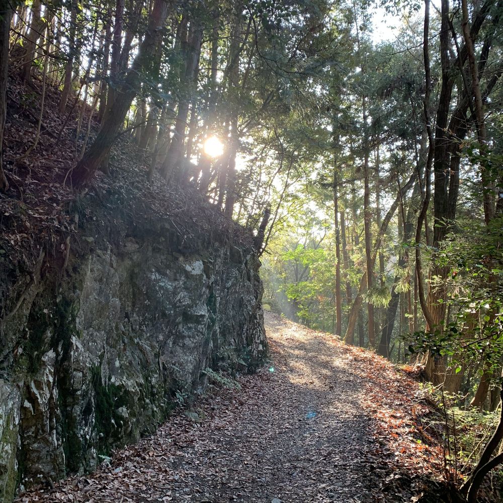 多度山ー養老山縦走トレイルの写真3