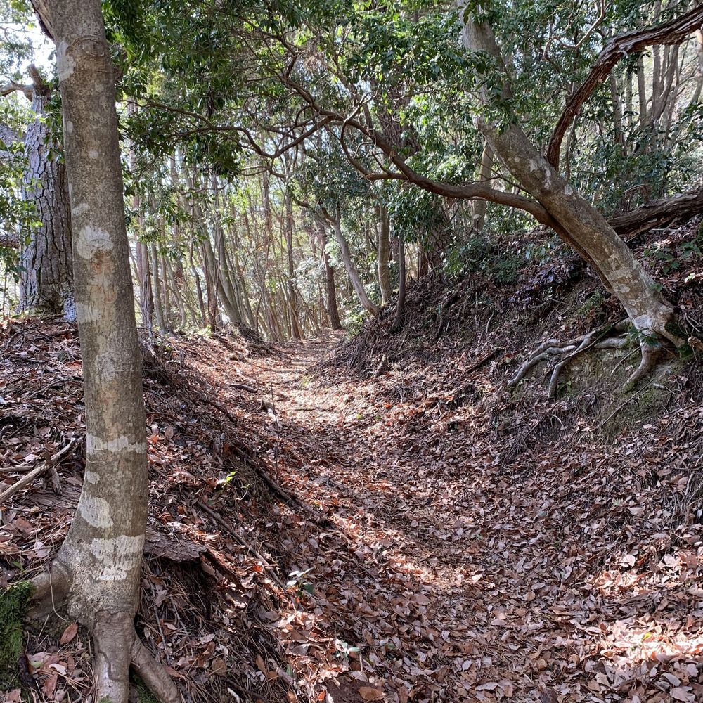 多度山ー養老山縦走トレイルの写真8