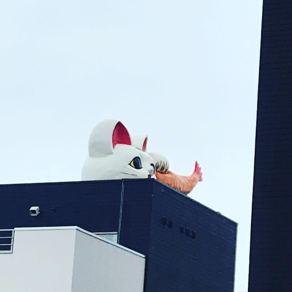 飛行機を見ながら海岸線の絶景5キロの写真3