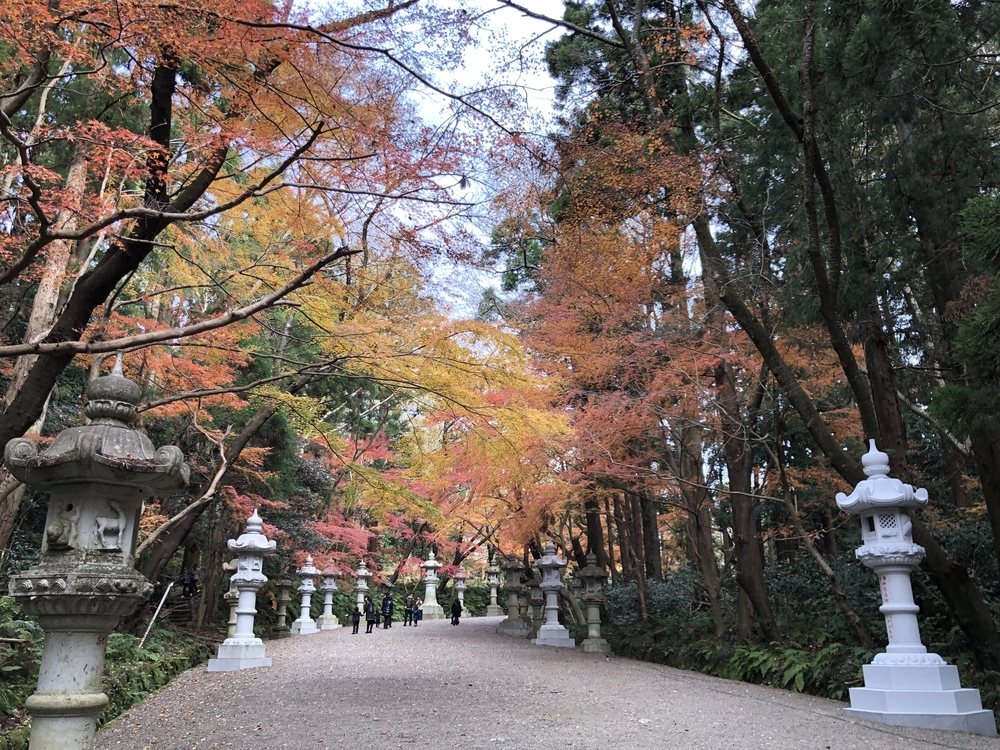 香取神宮　お散歩Runの写真4