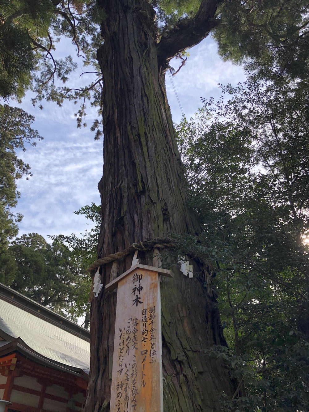 香取神宮　お散歩Runの写真7